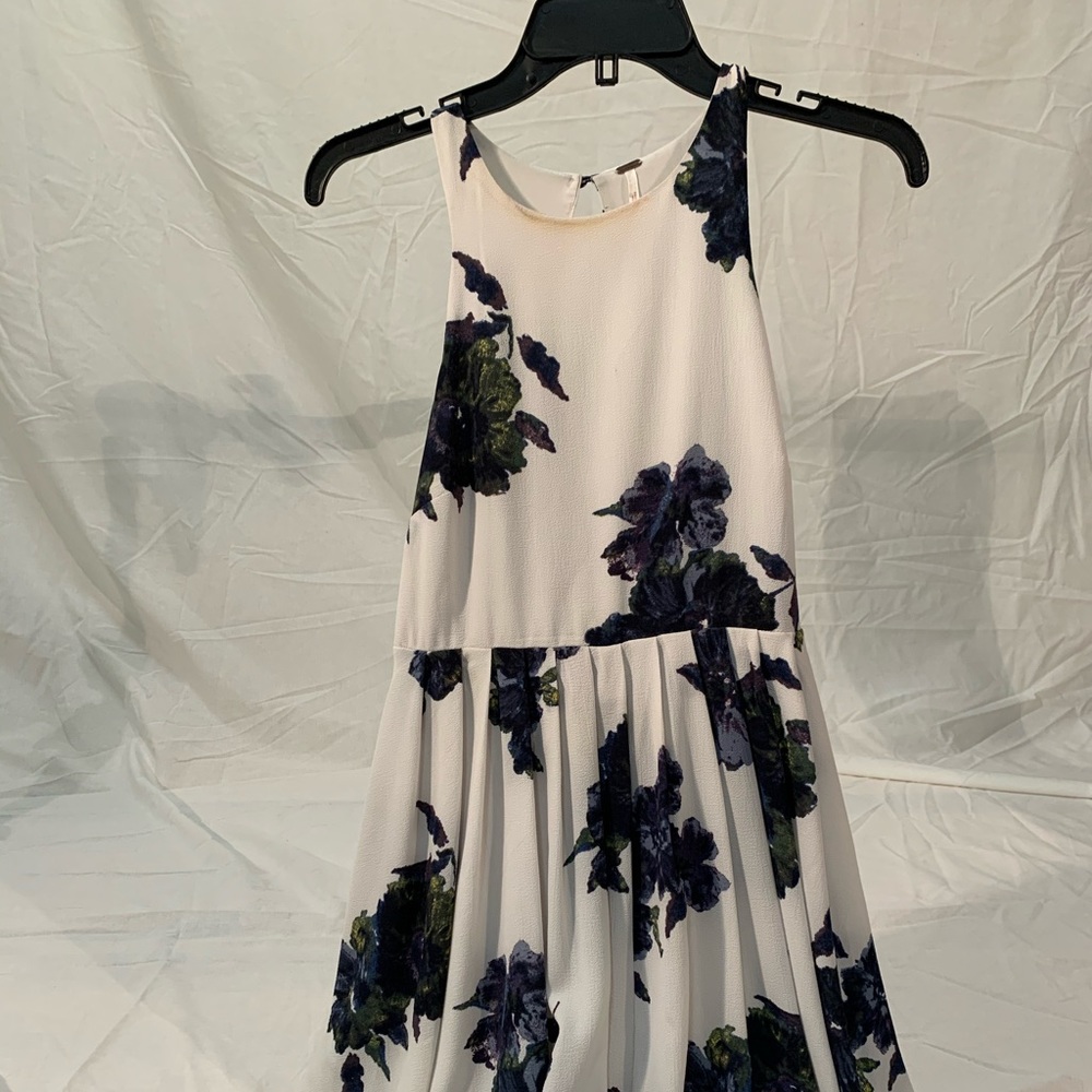 Free people white dress with blue flowers